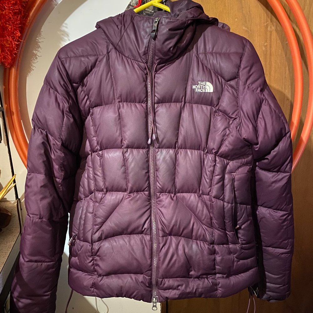 600 down Fill North Face Jacket